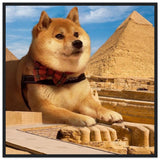 38f941e0-9f8b-4954-b390-e57f59efd4e8